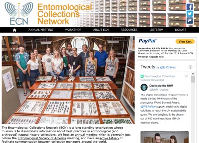 Entomological Collections Network (ECN)